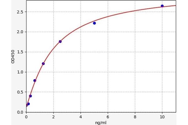 ADAMTS5 ELISA Kit
