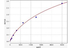 Endothelin-1 Receptor ELISA Kit