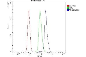 Flow Cytometry analysis of HL-60 cells using anti- TIF1 gamma/TRIM33 antibody (ABIN7599621). (TRIM33 Antikörper  (AA 1001-1127))