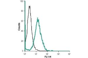 Cell surface detection of BAI1 in live intact human HL-60 promyelocytic leukemia cell line: (black line) Unstained cells + goat-anti-rabbit-AlexaFluor-488 secondary antibody. (ADGRB1 Antikörper  (Extracellular))