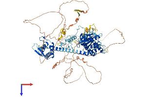 PAN3 Protein (AA 1-887) (His tag)