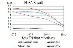 Fig. (HOXA9 Antikörper  (AA 1-272))