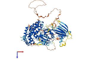 Protein Structure (PS) image for Phosphoinositide-3-Kinase, Regulatory Subunit 5 (PIK3R5) (AA 1-871) protein (His tag) (ABIN7563846)