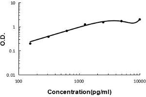 anti-Carboxypeptidase B2 (Plasma) (CPB2) (AA 166-388) antibody