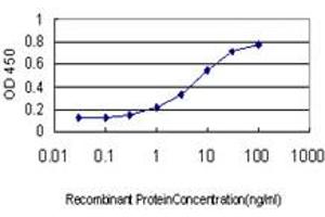 Detection limit for recombinant GST tagged BVES is approximately 0. (BVES Antikörper  (AA 262-360))
