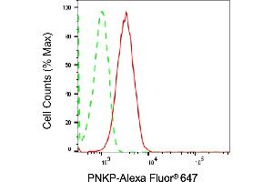 Flow cytometric analysis of PNKP expression in HT- cells using PNKP antibody (ABIN7799880), 1:2,000). (Rekombinanter PNKP Antikörper)
