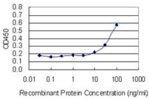 Detection limit for recombinant GST tagged VPS33B is 3 ng/ml as a capture antibody. (VPS33B Antikörper  (AA 1-100))