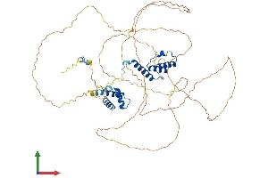 Protein Structure (PS) image for HIRA Interacting Protein 3 (HIRIP3) (AA 1-601) protein (His tag) (ABIN7558741)