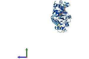 Protein Structure (PS) image for Guanine Nucleotide Binding Protein (G Protein), alpha 13 (GNA13) (AA 1-377) protein (His tag) (ABIN7563026)