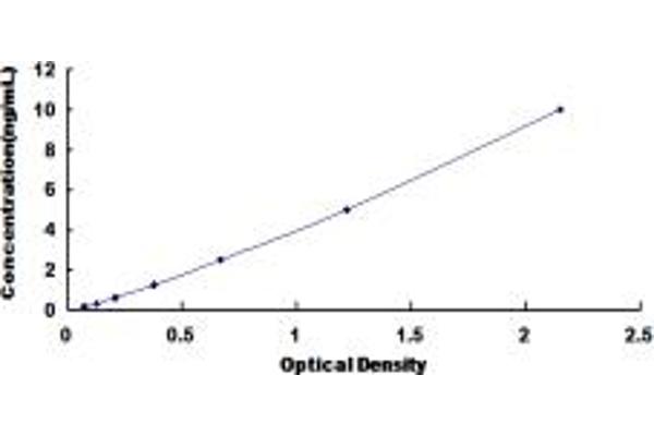 CHRNB2 ELISA Kit