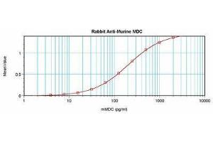 Image no. 3 for anti-Chemokine (C-C Motif) Ligand 22 (CCL22) antibody (ABIN464842) (CCL22 Antikörper)