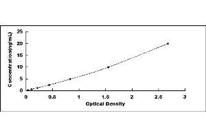 Typical standard curve (SLC12A3 ELISA Kit)