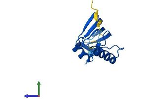 Protein Structure (PS) image for LSM10, U7 Small Nuclear RNA Associated (LSM10) (AA 1-122) protein (His tag) (ABIN7559604)