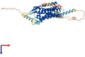 HCRTR1 Protein (AA 1-416) (His tag)