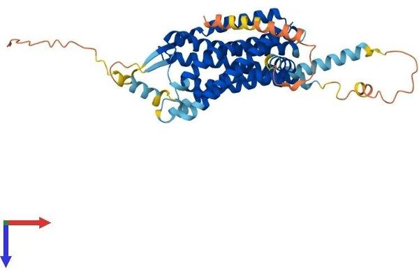 HCRTR1 Protein (AA 1-416) (His tag)