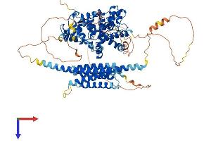 GIT2 Protein (AA 1-759) (His tag)