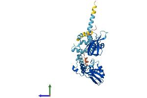 Protein Structure (PS) image for Protein Kinase, CAMP-Dependent, Regulatory, Type I, alpha (Tissue Specific Extinguisher 1) (PRKAR1A) (AA 1-381) protein (His tag) (ABIN7561275)