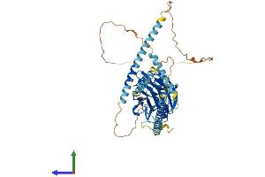 Protein Structure (PS) image for Neuronal Pentraxin Receptor (NPTXR) (AA 1-493) protein (His tag) (ABIN7560303)