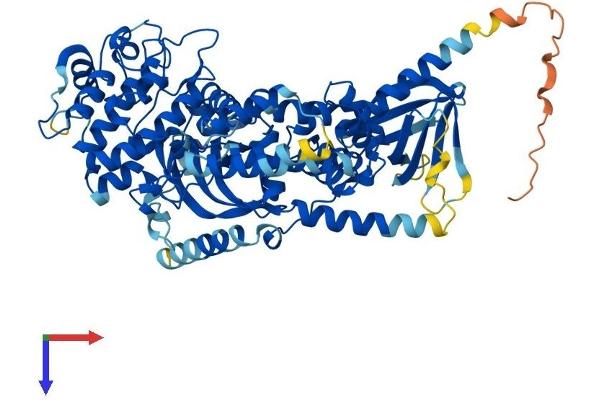ADRBK2 Protein (AA 1-688) (His tag)