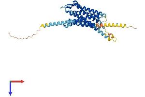 NPSR1 Protein (AA 1-371) (His tag)