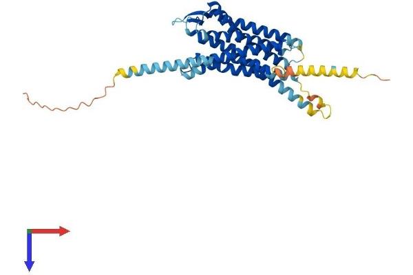 NPSR1 Protein (AA 1-371) (His tag)