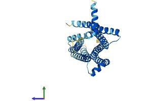 AlphaFold protein structure predicition of Human Recombinant TAS2R13 Protein, UniprotID Q9NYV9