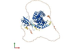 Protein Structure (PS) image for SH2 Domain Containing 3A (SH2D3A) (AA 1-576) protein (His tag) (ABIN7546037)