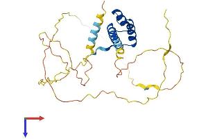 PHOX2A Protein (AA 1-284) (His tag)
