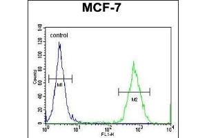 Flow Cytometry (FACS) image for anti-Glycerol-3-Phosphate Dehydrogenase 1-Like (GPD1L) (AA 44-73), (N-Term) antibody (ABIN654680)