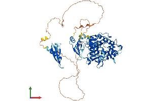 Protein Structure (PS) image for Adenosine Deaminase, RNA-Specific, B1 (ADARB1) (AA 1-711) protein (His tag) (ABIN7564836)