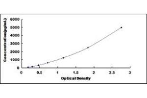 Typical standard curve (THBS3 ELISA Kit)