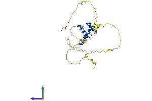 Protein Structure (PS) image for GS Homeobox 1 (GSX1) (AA 1-261) protein (His tag) (ABIN7563112)