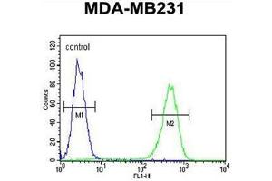 AMACR Antibody (C-term) flow cytometric analysis of MDA-MB231 cells (right histogram) compared to a negative control cell (left histogram). (AMACR Antikörper  (C-Term))