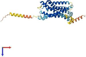 CXCR5 Protein (AA 1-372) (His tag)