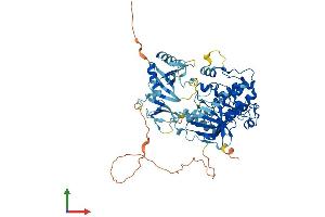 Protein Structure (PS) image for Protein Kinase C, zeta (PRKCZ) (AA 1-592) protein (His tag) (ABIN7554316)