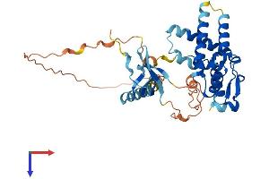 MORF4L1 Protein (AA 1-362) (His tag)