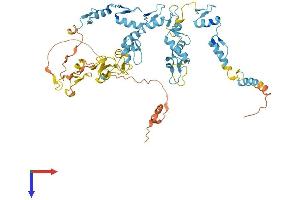 AlphaFold protein structure predicition of Human Recombinant ZNF319 Protein, UniprotID Q9P2F9 (ZNF319 Protein (AA 1-582) (His tag))