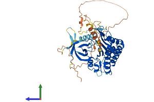 Protein Structure (PS) image for Inositol Hexakisphosphate Kinase 1 (IP6K1) (AA 1-441) protein (His tag) (ABIN7548556)