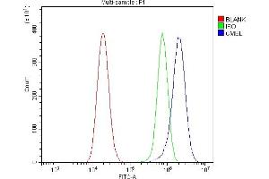 Flow Cytometry analysis of U20S cells using anti-L/CMBL antibody (ABIN7599150). (CMBL Antikörper  (AA 1-246))