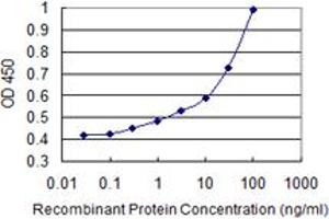 Detection limit for recombinant GST tagged ATP2A3 is 0. (ATP2A3 Antikörper  (AA 501-620))