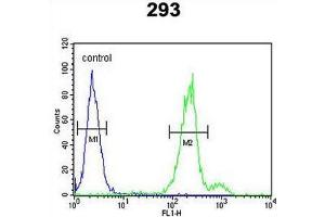 CLRN3 Antibody (C-term) flow cytometric analysis of 293 cells (right histogram) compared to a negative control cell (left histogram).