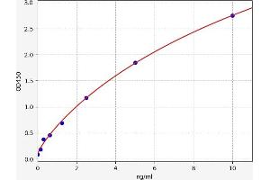 Caspase 12 ELISA Kit