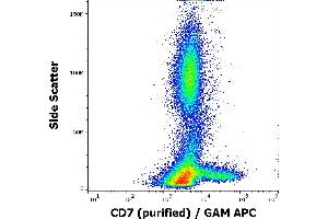 Flow cytometry surface staining pattern of human peripheral whole blood stained using anti-human CD7 (MEM-186) purified antibody (concentration in sample 0,33 μg/mL, GAM APC). (CD7 Antikörper)