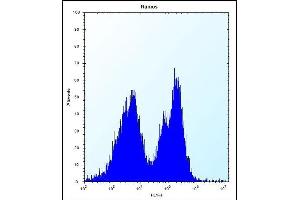 PCDHGA3 Antibody (Center) (ABIN657534 and ABIN2846552) flow cytometric analysis of Ramos cells (right histogram) compared to a negative control cell (left histogram). (PCDHGA3 Antikörper  (AA 284-311))