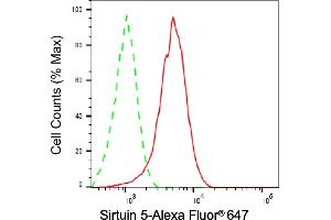 Flow cytometric analysis of Sirtuin 5 expression in HepG2 cells using Sirtuin 5 antibody (ABIN7800355), 1:2,000). (SIRT5 Antikörper)