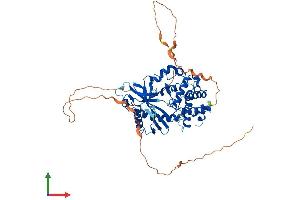 Protein Structure (PS) image for Chromosome 6 Open Reading Frame 150 (C6orf150) (AA 1-522) protein (His tag) (ABIN7553246)