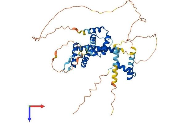 HMBOX1 Protein (AA 1-420) (His tag)
