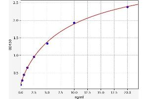 SLC16A1 ELISA Kit