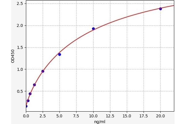 SLC16A1 ELISA Kit