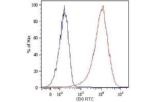 Surface staining of NALM-6 human pre-B cell leukemia cell line with anti-human CD9 (MEM-61) FITC. (CD9 Antikörper)